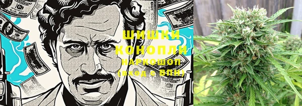 дурь Белоозёрский