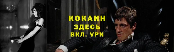 ГАЛЛЮЦИНОГЕННЫЕ ГРИБЫ Белокуриха