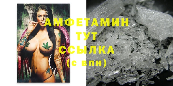 ГАЛЛЮЦИНОГЕННЫЕ ГРИБЫ Белокуриха