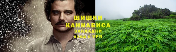 ГАЛЛЮЦИНОГЕННЫЕ ГРИБЫ Белокуриха
